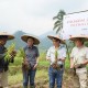 Sederet Tantangan Yayasan Astra Dongkrak Produksi Petani Jahe
