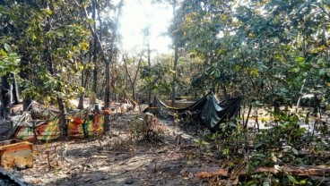 Pemkab Musi Banyuasin Sebut Semburan Minyak Ilegal Telah Terkendali