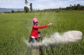 Pupuk Subsidi Langka, Ini Penjelasan PT Pupuk Indonesia