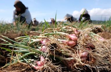 Kesejahteraan Petani Jadi Langkah Awal Wujudkan Ketahanan Pangan Jabar