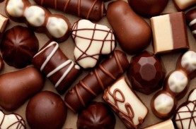 Choco Lover, Ini Lho Wilayah Penghasil Cokelat Asli…
