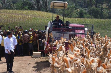 Soal Rencana RI Ekspor 100.000 Ton Jagung, Ini Respons Kemendag