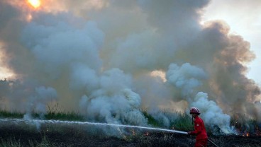 Karhutla di Sumsel Bergeser dari Lahan Gambut ke Mineral