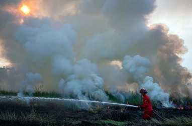Karhutla di Sumsel Bergeser dari Lahan Gambut ke Mineral