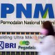 PNM Salurkan Pembiayaan Rp141,61 Triliun per September 2022