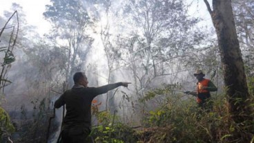 Ratusan Petugas Berupaya Padamkan Kebakaran di Gunung Ciremai