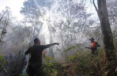 Ratusan Petugas Berupaya Padamkan Kebakaran di Gunung Ciremai