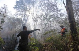Ratusan Petugas Berupaya Padamkan Kebakaran di Gunung Ciremai
