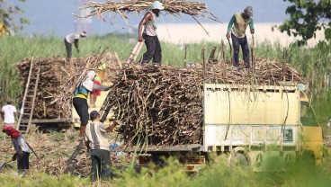 Giling Tebu PTPN X Sudah Capai 3,9 Juta Ton per September