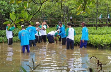 CSR Pertamina Dorong Pembelajaran Mangrove dan Jadi Lokasi Adiwiyata Se-Cilacap