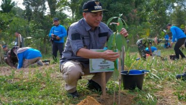 Musi Banyuasin Komitmen Kendalikan Deforestasi Hutan