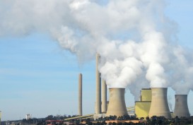 Bursa Karbon dan Peluangnya Biayai Ongkos Transisi Energi