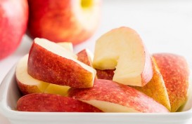 Sehat Bagi Tubuh, Ini 10 Manfaat dari Apel 