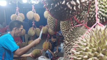 Tips Pilah-pilih Duren di Pasar Durian Kuto Palembang