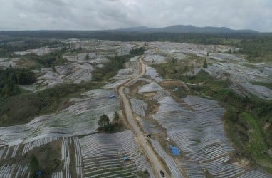 Jokowi Minta Pengembangan Lumbung Pangan Terus Didorong