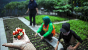 Warga di Bandung Manfaatkan Lahan Sempit Untuk Berkebun