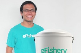 Kisah eFishery dan Jalan Alternatif di 'Musim Dingin' Startup Teknologi
