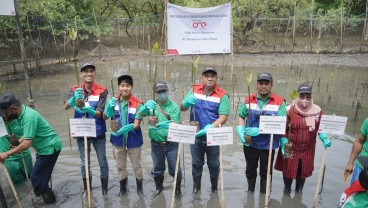 Pertamina Perkaya Keanekaragaman Hayati, Tanam 1000 Mangrove di Margomulyo