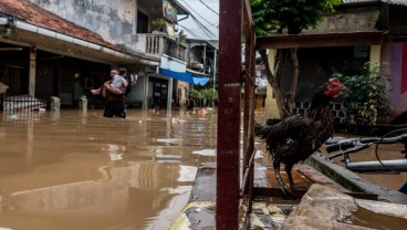 Banjir Jakarta, 116 Pengungsi Dievakuasi