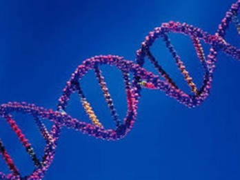 Teknologi Genome Sequencing, Cara Deteksi Medis Berbasis Genetika