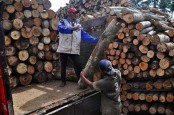 Ekspor Produk Kayu Indonesia Capai US$13,5 Miliar