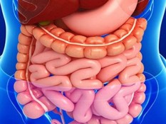 Simak 4 Jenis Makanan yang dapat Membersihkan Usus