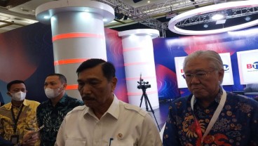 Luhut Targetkan Kawasan Industri Hijau Kaltara Produksi 3 Juta Mobil Listrik