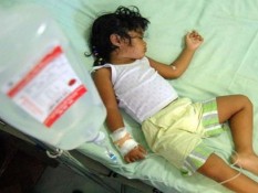 Pemkot Balikpapan Klaim Tren DBD Meningkat, Kasus Meninggal Didominasi Anak-anak
