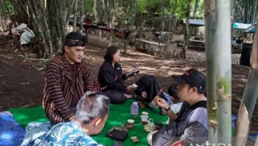 Belantara Bambu di Temanggung Disulap Jadi Wisata Papringan