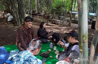 Belantara Bambu di Temanggung Disulap Jadi Wisata Papringan