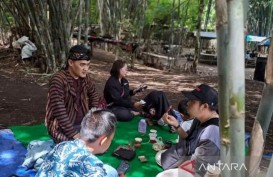 Belantara Bambu di Temanggung Disulap Jadi Wisata Papringan