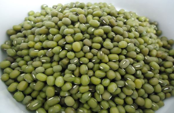Biak Numfor Menyiapkan Bantuan Bibit Kacang Hijau 1,2 Ton