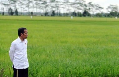 Tantangan di Balik Klaim Jokowi Indonesia Siap Hadapi Krisis Pangan