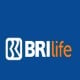 BRI Life Utak-atik Strategi Genjot Premi Tanpa Andalkan Unit Linked