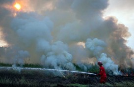 BMKG Waspadai Potensi Kebakaran Hutan di Tiga Pulau NTT