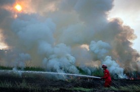 BMKG Waspadai Potensi Kebakaran Hutan di Tiga Pulau…