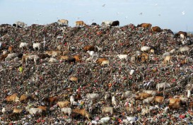 12 Investor Asing Berebut Bangun Pengolahan Sampah di Makassar