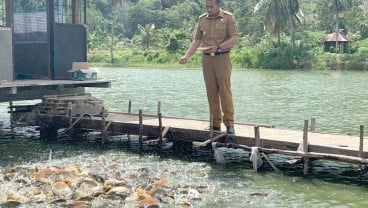 Kementeria Kelautan Kucurkan Rp12,1 Miliar di Pasaman, Garap Pakan Ikan