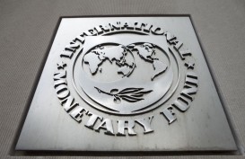 IMF: Sejarah, Anggota, Tujuan Serta Hubungan IMF dan PBB