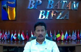 Adaro Investasi PLTS di Batam, Nilainya Sampai Rp30 Triliun