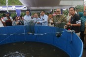 Tekan Inflasi, BI Sumsel Kembangkan Budi Daya Ikan Lele di Prabumulih