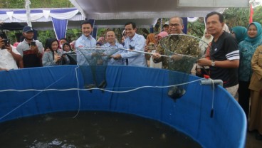 Tekan Inflasi, BI Sumsel Kembangkan Budi Daya Ikan Lele di Prabumulih