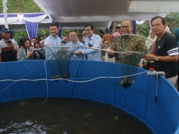 Tekan Inflasi, BI Sumsel Kembangkan Budi Daya Ikan Lele di Prabumulih