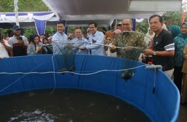 Tekan Inflasi, BI Sumsel Kembangkan Budi Daya Ikan Lele di Prabumulih