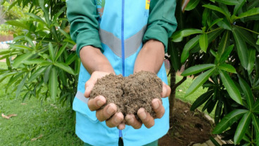 Manfaatkan FABA untuk Pupuk, Produksi Pertanian Meningkat 15 Persen