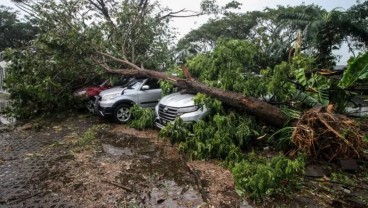 Angin Kencang Landa Sidoarjo, Begini Dampaknya