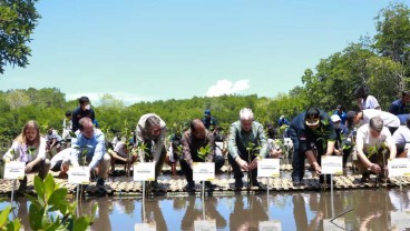 Bali Fokus Perluas Kawasan Mangrove di Lima Kabupaten