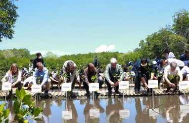 Bali Fokus Perluas Kawasan Mangrove di Lima Kabupaten