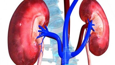 Biaya Pengobatan Pasien Gagal Ginjal yang Tak Punya JKN-KIS Siapa yang Menanggung?