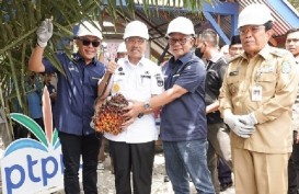 Gubernur Riau Sebut Peremajaan Sawit Rakyat PTPN V Tingkatkan Produktivitas Petani